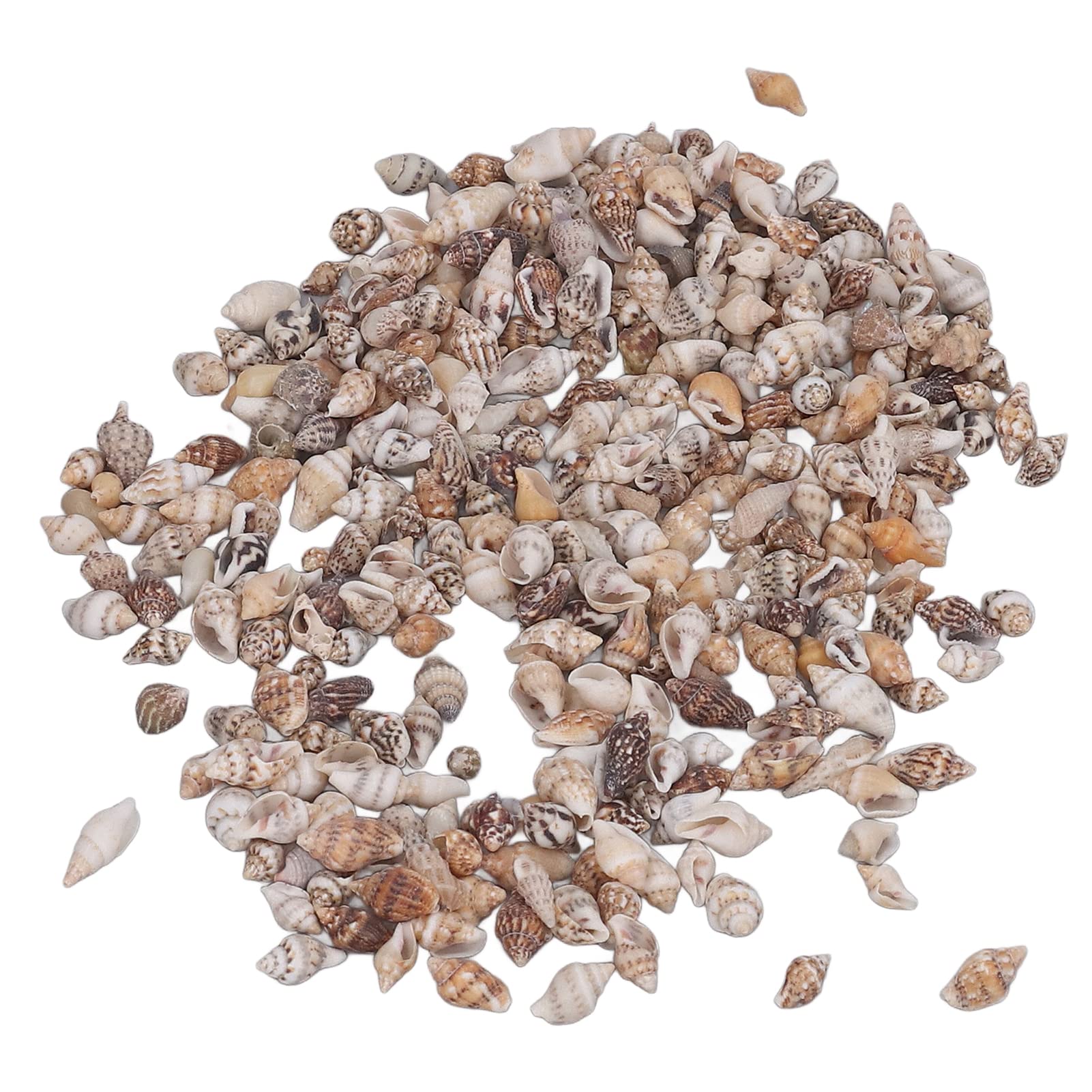 1 Can Tiny S, Sea Shells Non Porous Spiral Seashells S, Craft, Porous, Vases Conch for Fish Tank Landscaping Drift Bottle Decoration Conch, Aquarium Landscaping,