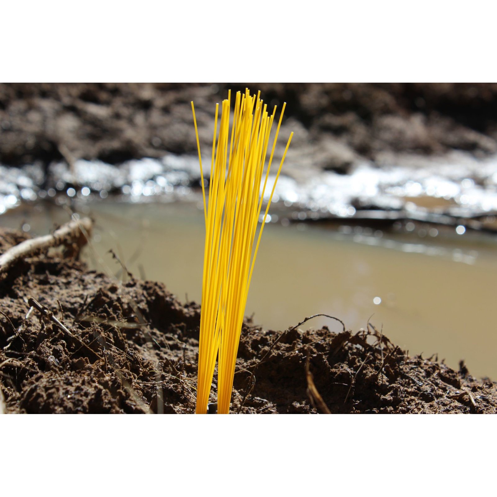 Presco Marking Whiskers: 1/2 in. x 6 in. (Neon Pink) / 10-pack