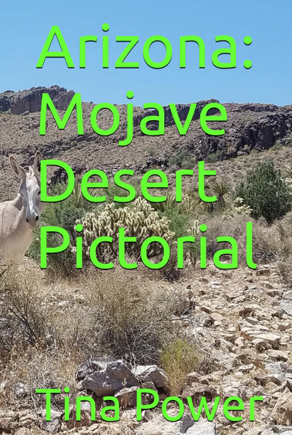 Arizona: Mojave Desert Pictorial
