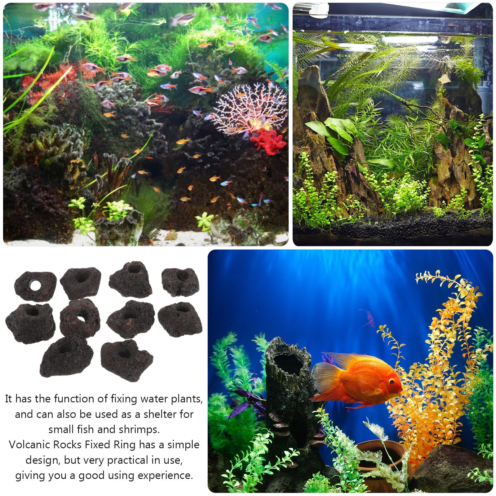 WOONEKY 10 Stück Lavastein Ringe aus Stein zur Befestigung von Wasserpflanzen im Aquarium mit Löchern zum Verstecken und Züchten von Garnelen und Kleinen Fischen