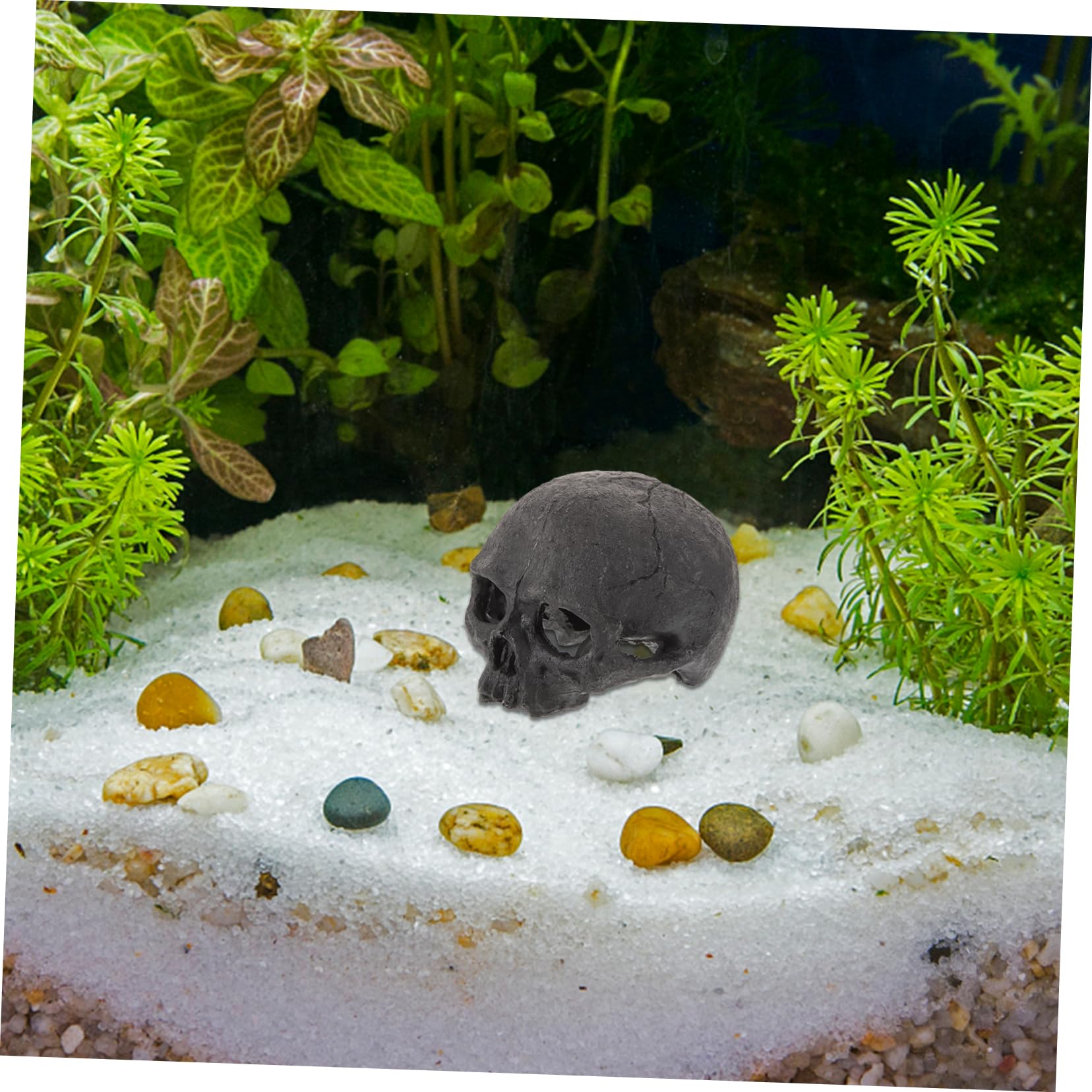 PRETYZOOM 5 Pezzi Decorazioni di Teschi di Acquari Terrarium Ornamento Dell'acquario del Cranio Rettile Scheletro Vasca Dell'acquario Decorativo Visualizzazione Impostore Black Resina