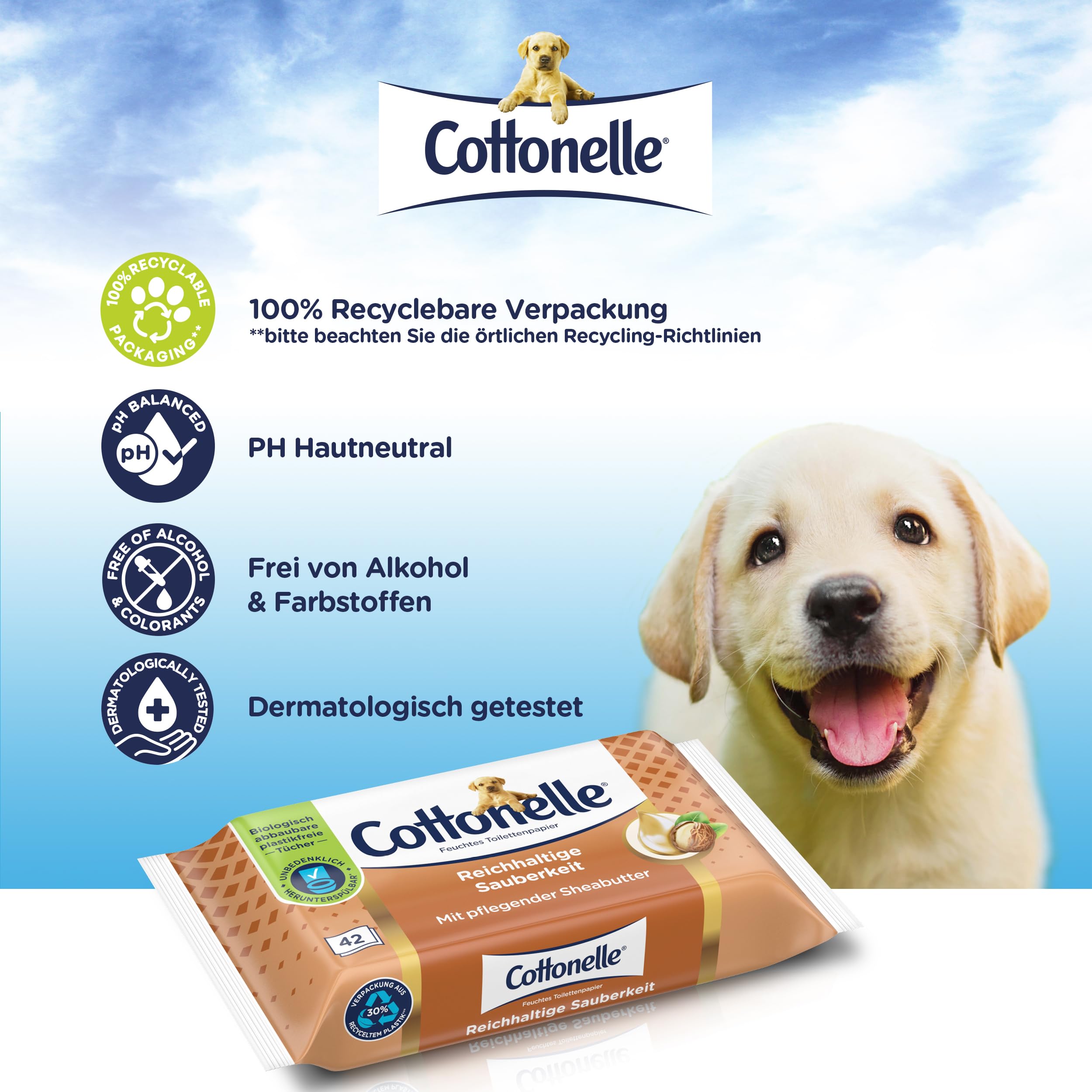 Cottonelle Mein Spa mokry papier toaletowy, masło kaszmirowe i shea, biodegradowalny, nie zawiera plastiku, możliwość ponownego zamknięcia, opakowanie ekonomiczne, 12 x 42 chusteczki nawilżane