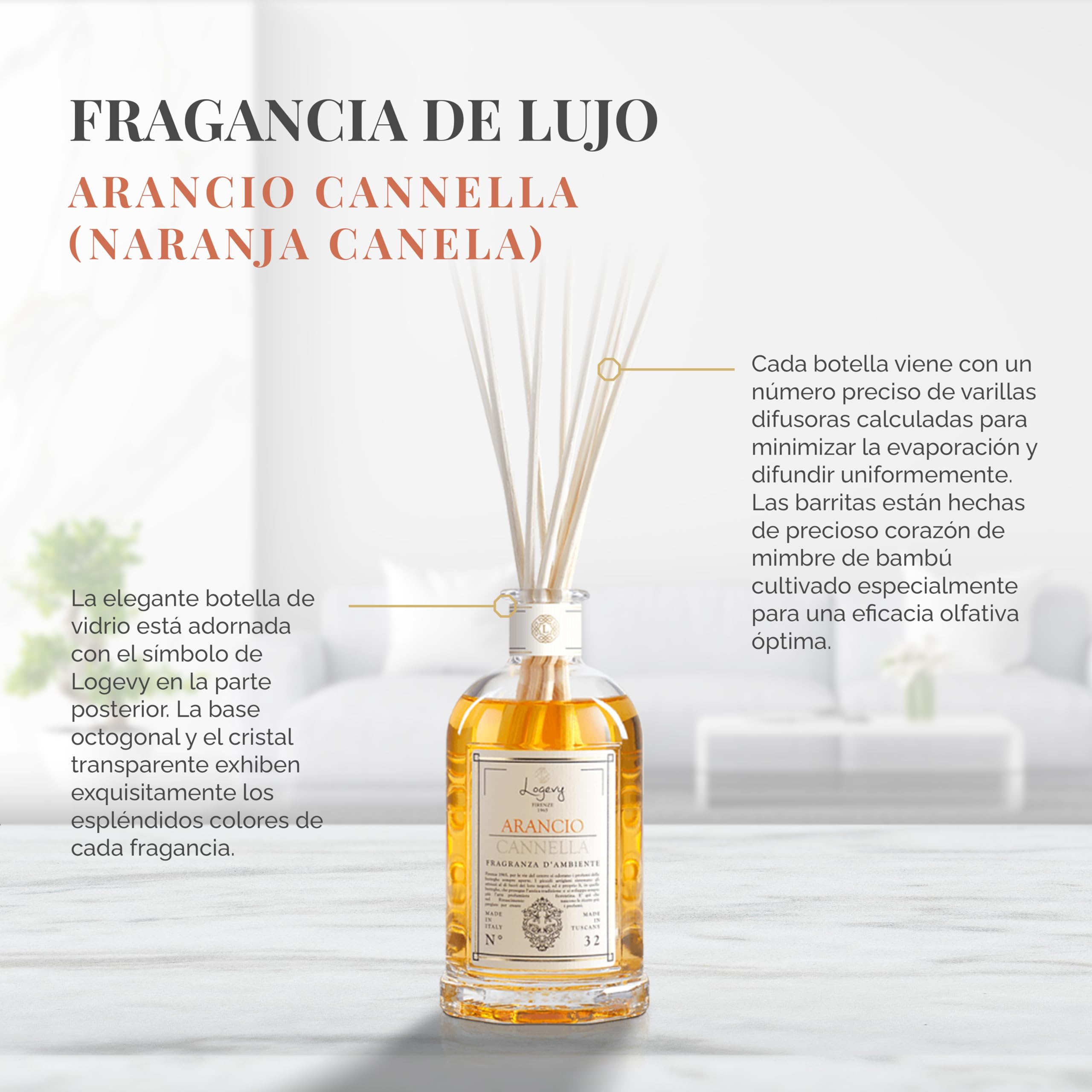LOGEVY - Ambientador - Naranja Canela - Nueva Colección 2022 (500 ml NEW 2022)