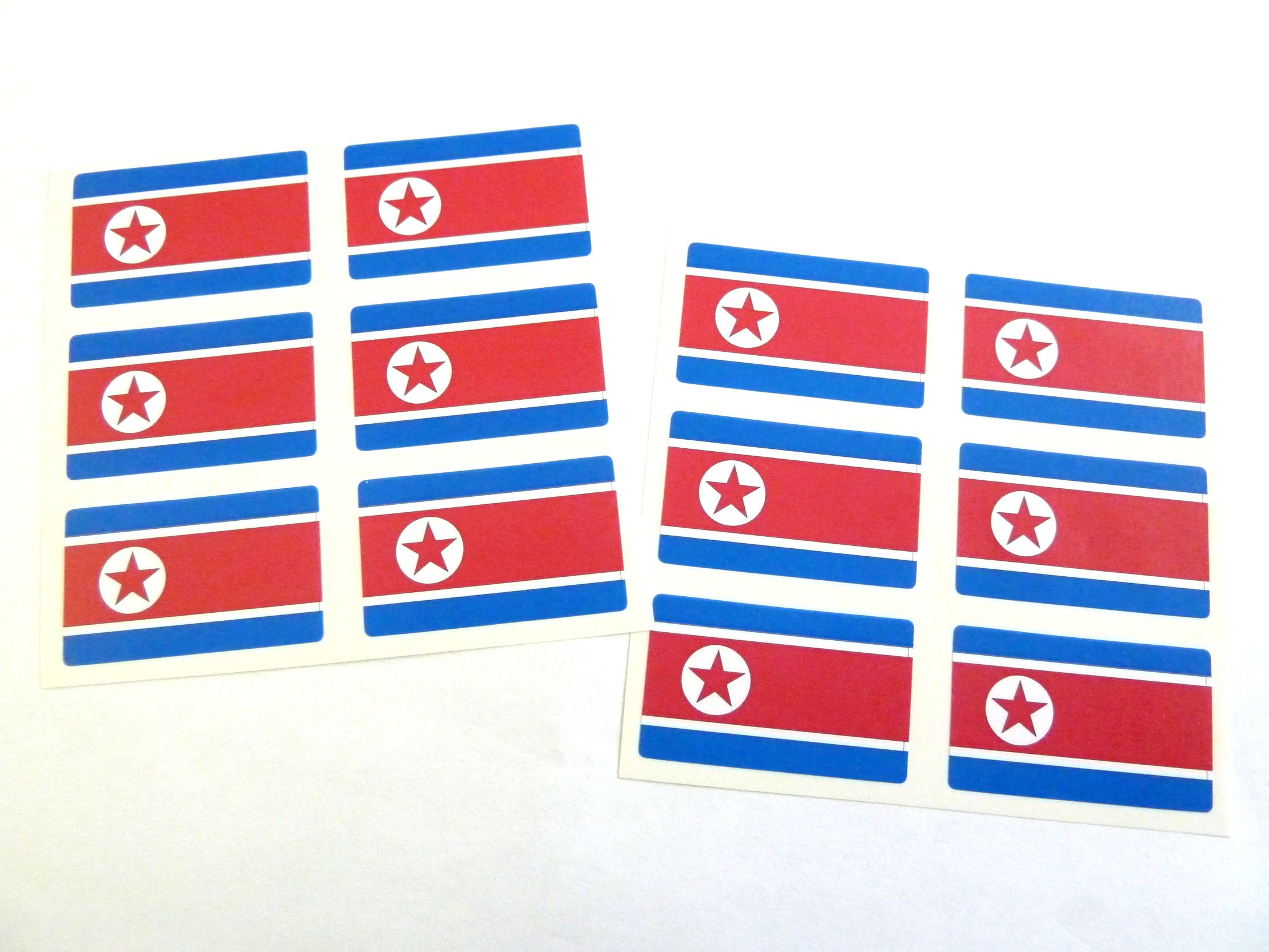 Pacchetto Mini Adesivi Bandiera Pakistan – 12 Etichette Rettangolari 33x20mm Su Foglio