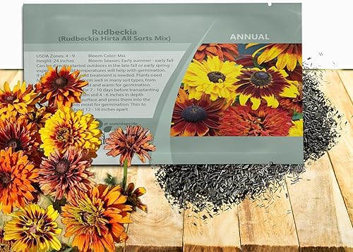 Outsidepride Rudbeckia Equinácea All Sorts - Mezcla de semillas de flores Susan de ojos negros, 100 semillas