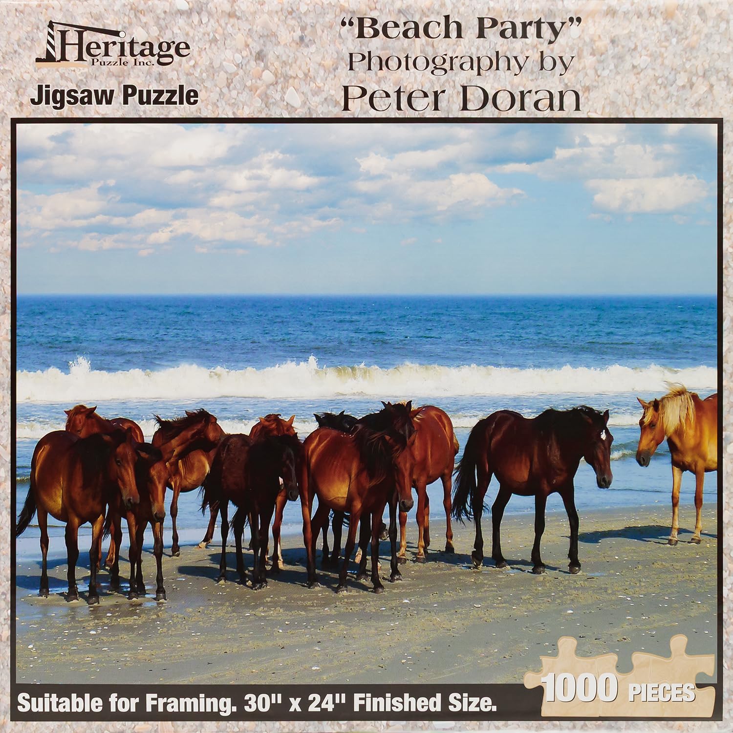 Amazon.com: Heritage Puzzle - Beach Party by Peter Doran - 1000