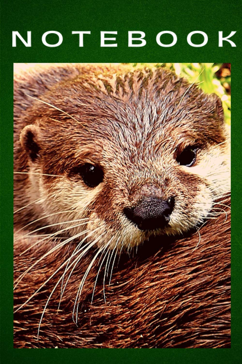 Notebook: Journal Otter Logbook Notes handwriting sheet