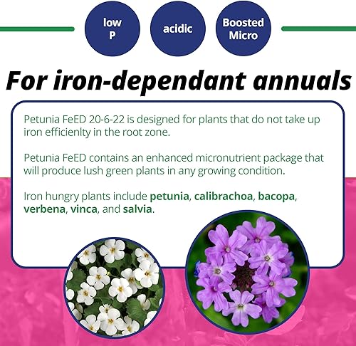 Miniatura 4 de Jack's Classic 20-6-22 Fertilizante soluble en agua de alimentación de petunia con micronutrientes para proporcionar anuales verdes exuberantes, 4lbs
