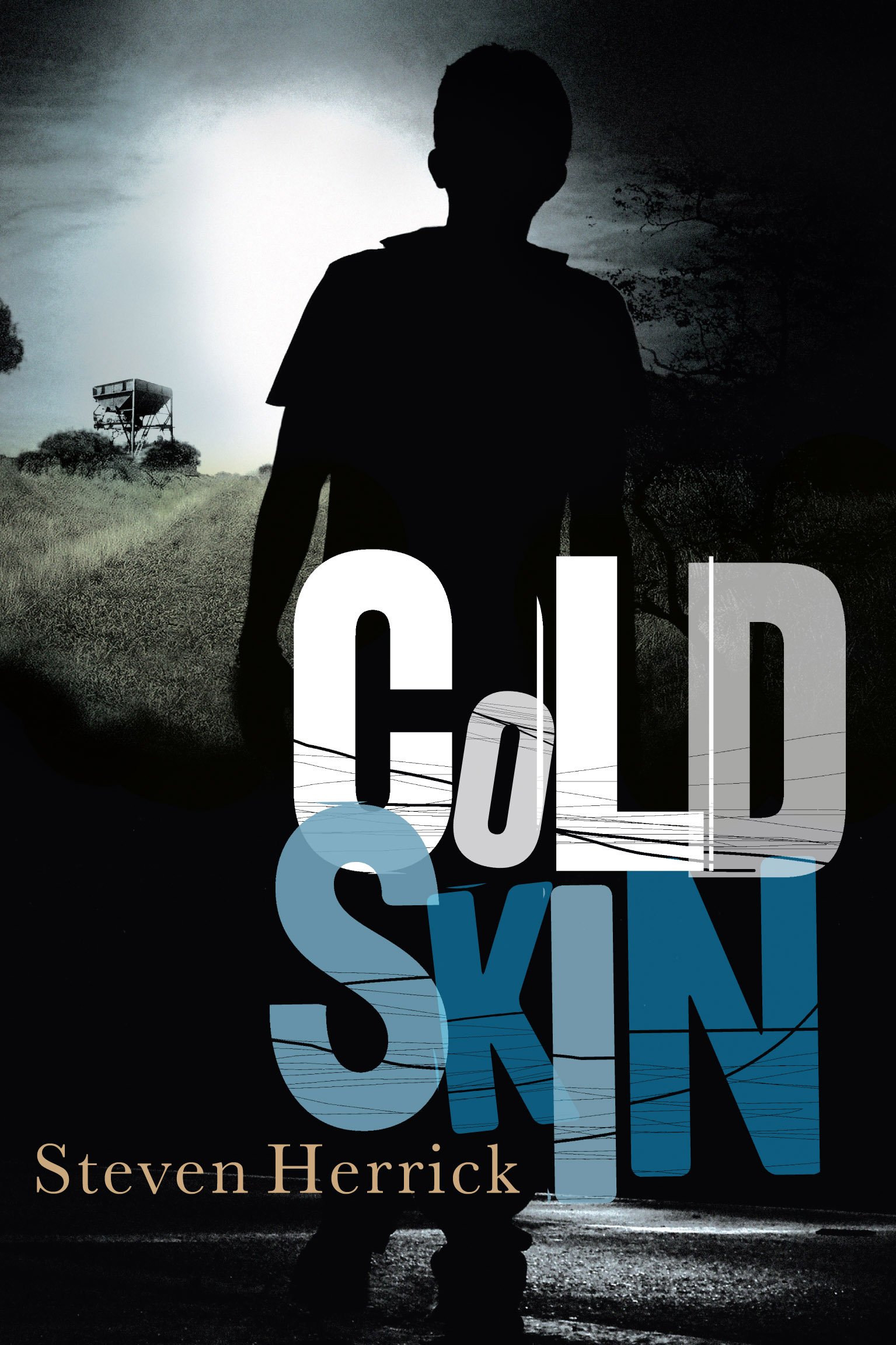 Buy Cold Skin — BookShops.in