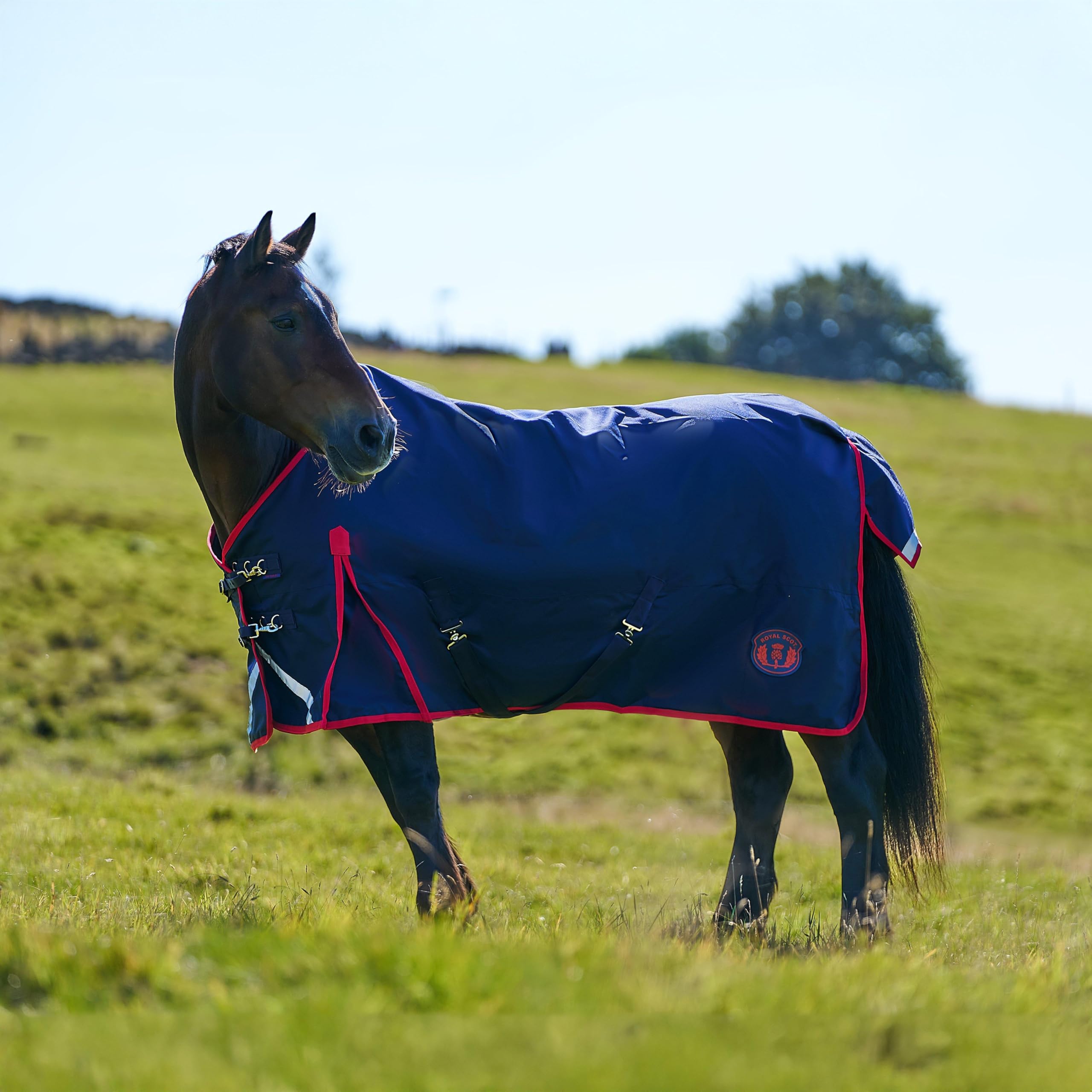 Royal Scot Original 50g Lightweight Standard Neck Turnout Rug Navy/Red (Navy/Red, 6'9)