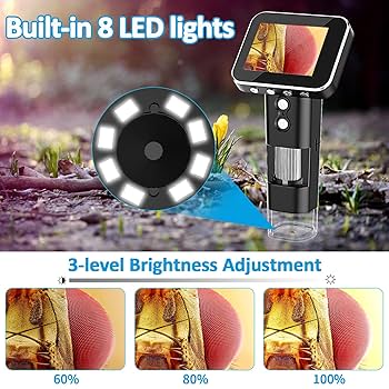 超美品 KindleScribe32GB・美品　KindleOASIS32GB Amazon Kindle Paperwhite (12Th Generation) Signature Edition