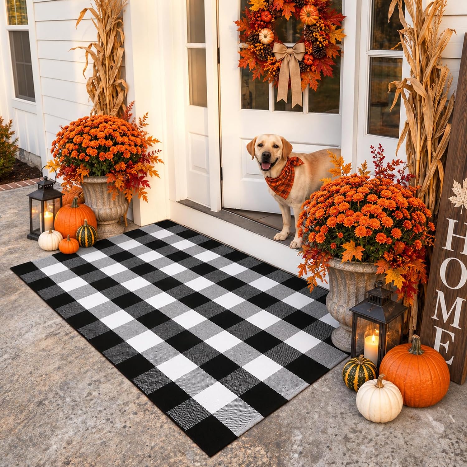 KIMODE Outdoor Rug Front Door Mat Fall Porch Welcome Doormat Paito Rug image 4