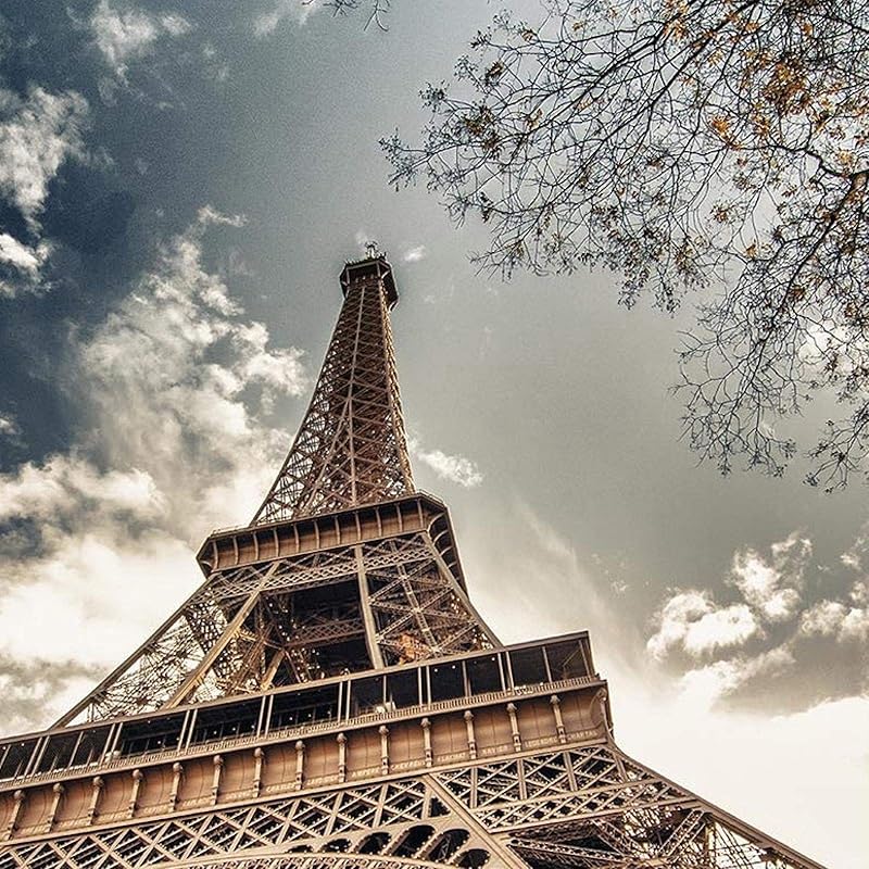 Diy 工具 ガーデン 黒 桜古典 Hdhgkyy 3dリビングルームの壁紙エッフェル塔のリビングルームの入り口の廊下の壁の装飾壁画の壁紙絹の布の壁の絵 Fvksyuinge Souljob Com Br