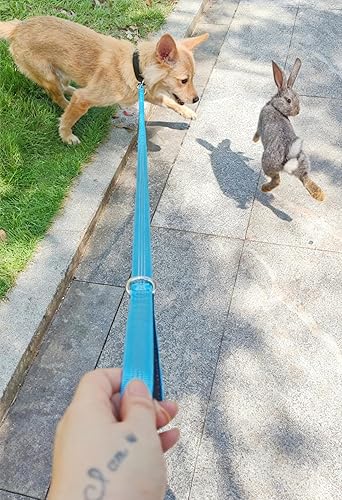 Miniatura 3 de Bungee Dog Leash- 5FT Shock Absorbing & Reflective Nylon Leash | Anti-Pull Training for Small/Medium Dogs | 2cm Wide, 6 Colors (Teal)