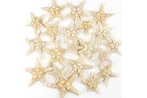 QEQEKAKA 20PCS Starfish Mini Starfish 1" to 3" Natural Starfish Crafts Supplies...