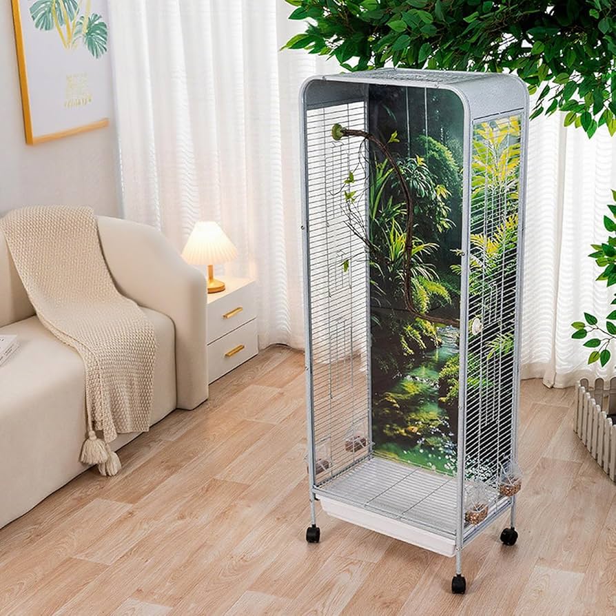 山鳥　剥製　台座付き　約30×60×100 山鳥 剥製 台座付き 約30×60×100