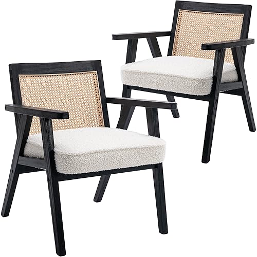 Set of 2 Faux Sherpa Upholstered Modern Cane Back Living Room Chair, Accent Arm