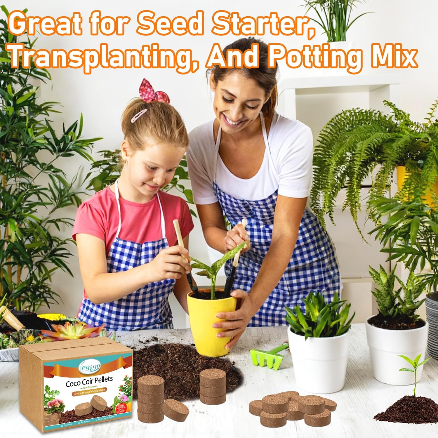 Legigo 200 PCS 40mm Coco Coir Pellets Potting Soil Mix- Compressed Coconut Coir Discs Seed Starting Soil Pellets, Coco Peat Soil Pods for Indoor & Outdoor Plants, Gardening Herbs Bonsai and Vegetables