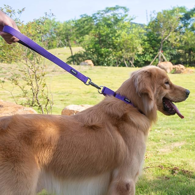 Foto 5 de 7 de Hyhug Collar de Nailon Resistente para Perros machos y Hembras Grandes, medianos y pequeños