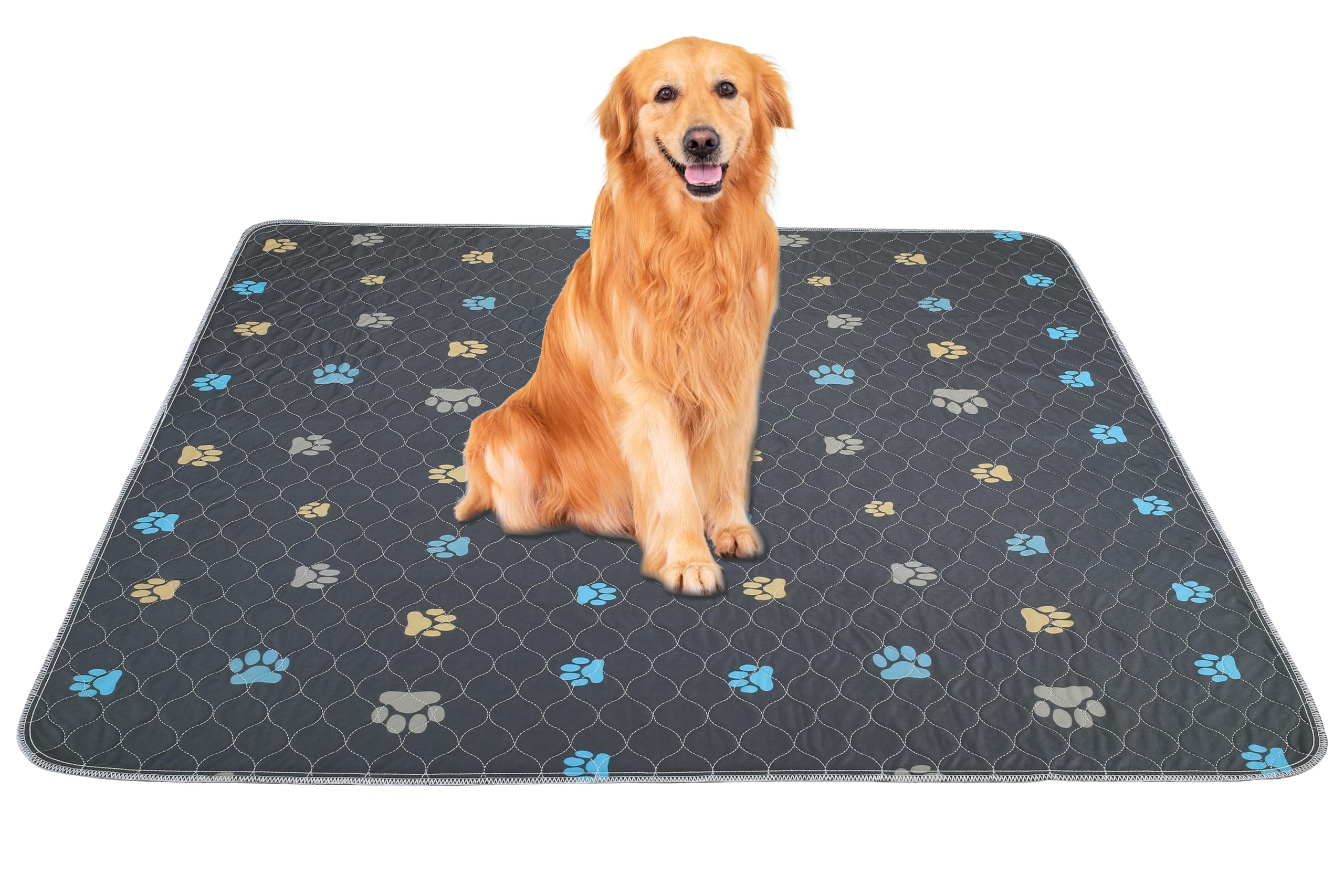 Tapis hygiéniques lavables pour chiot et chien âgé protection maison