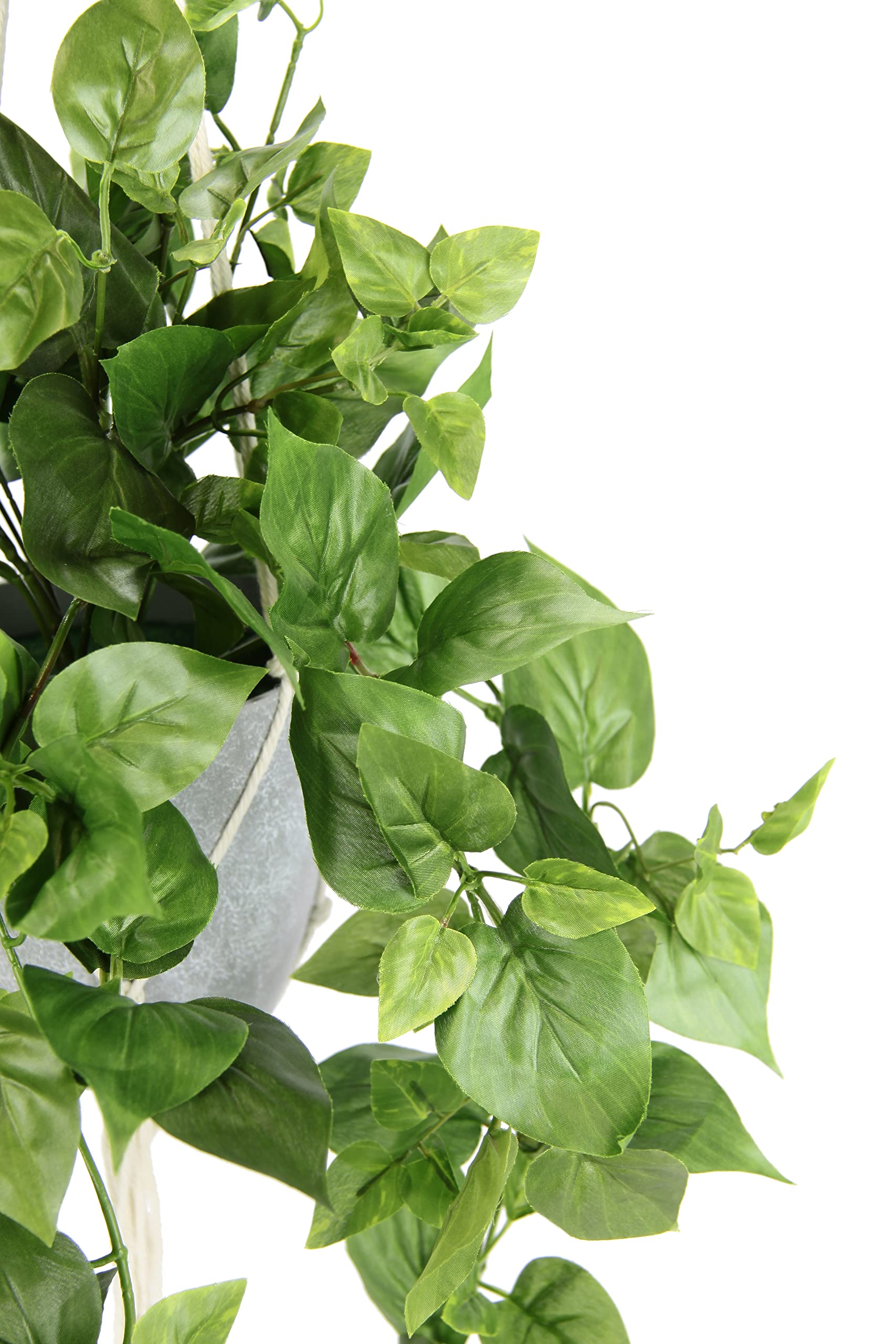 Amazon.de: Flair Flower Realistische knstliche Philodendron Hngepflanze  in Makramee Ampel - Pflegeleichte Kunstpflanze mit grnen Blttern fr  Wohnzimmer, Schlafzimmer, Bro und Wintergarten Dekoration