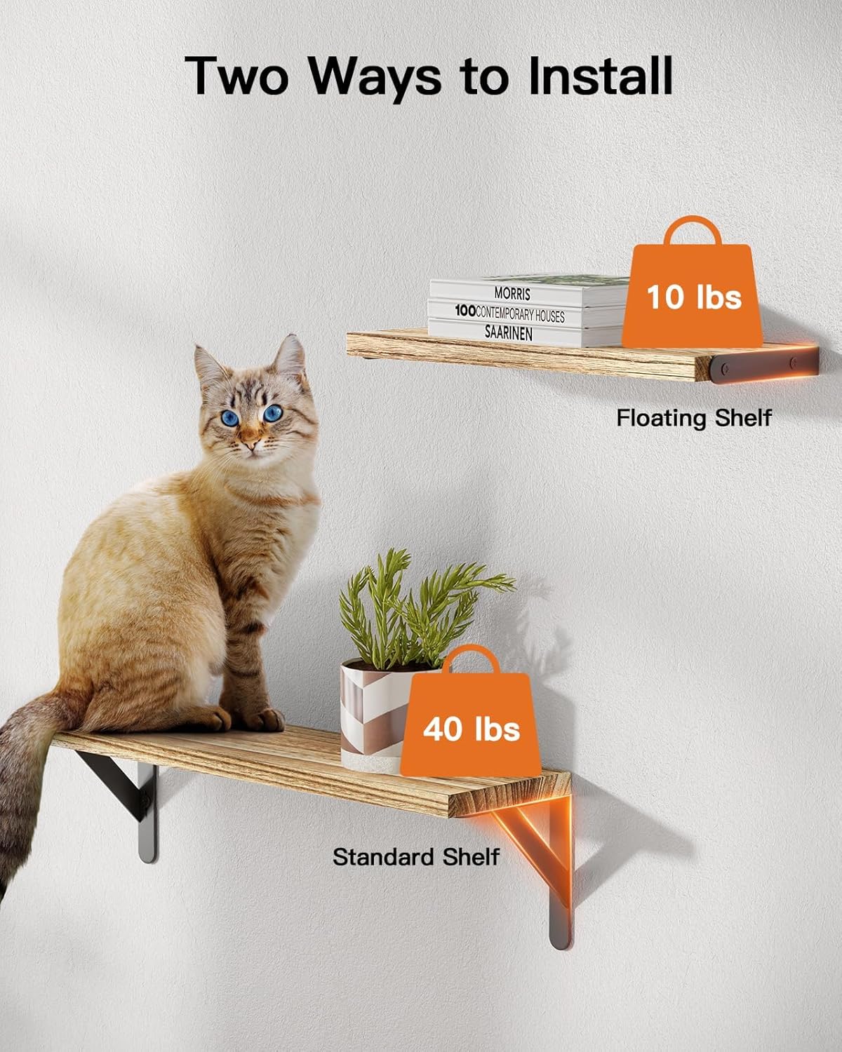 Diagram illustrating two installation methods: a floating shelf with concealed brackets supporting 10 lbs, and a standard shelf with visible brackets supporting 40 lbs, with a cat sitting on the lower shelf.