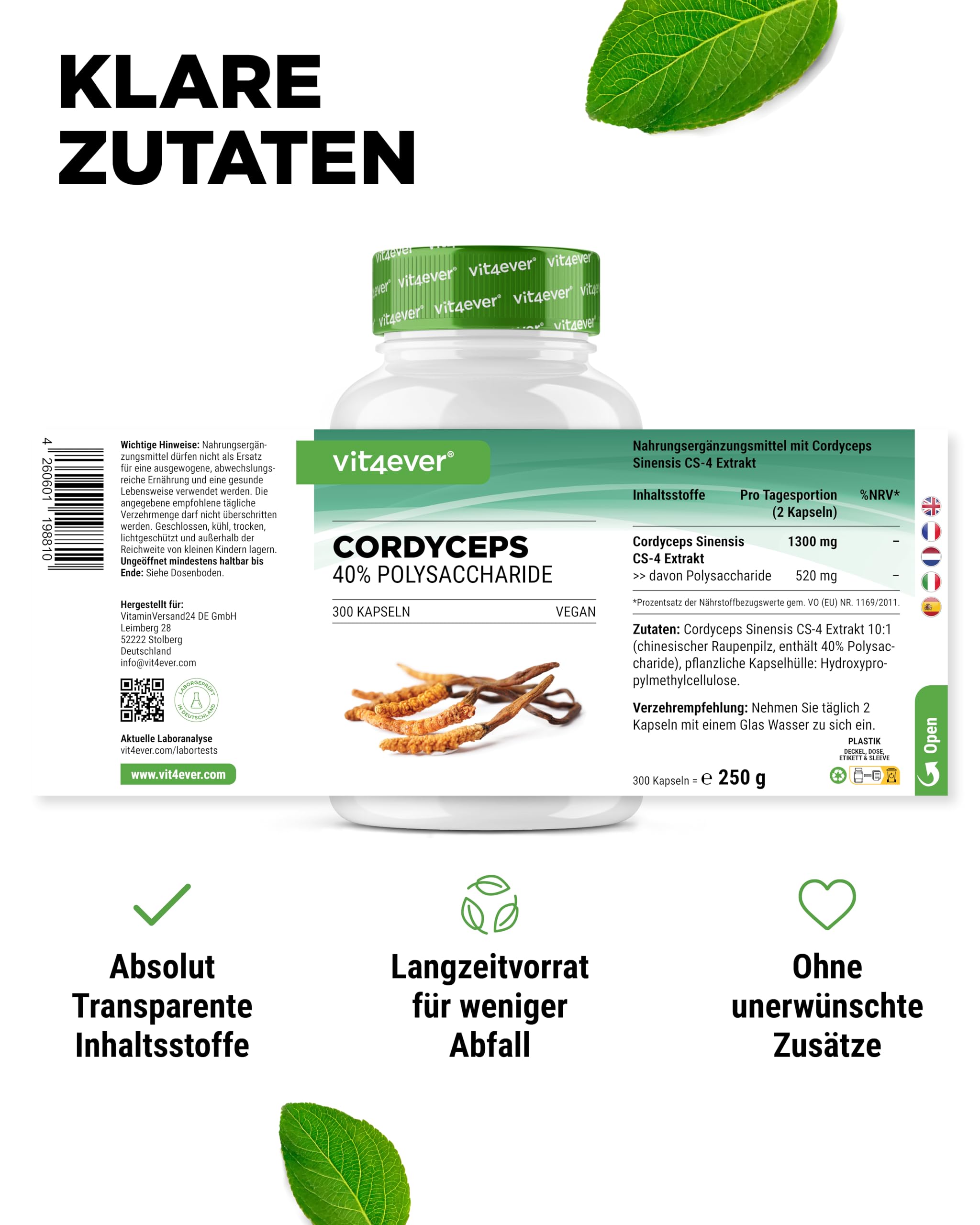vit4ever Cordyceps Pilz - 300 Kapseln mit 650 mg echtem CS-4 Extrakt - 40% bioaktive Polysaccharide - Hochdosiert - Raupenpilz - Vegan