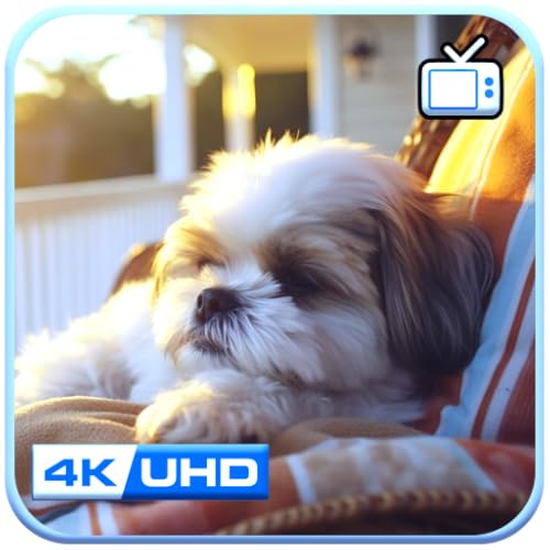 Puppy Sleep Music – Soothing Dog Lullabies for Calm & Relaxation Screensaver