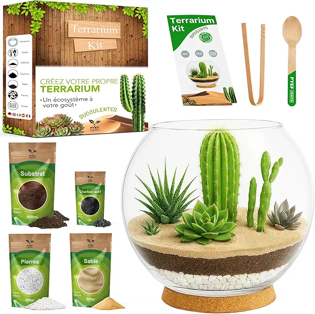 Kit Terrarium DIY Plantes Succulentes et Cactus - Écosystème Désertique en Verre