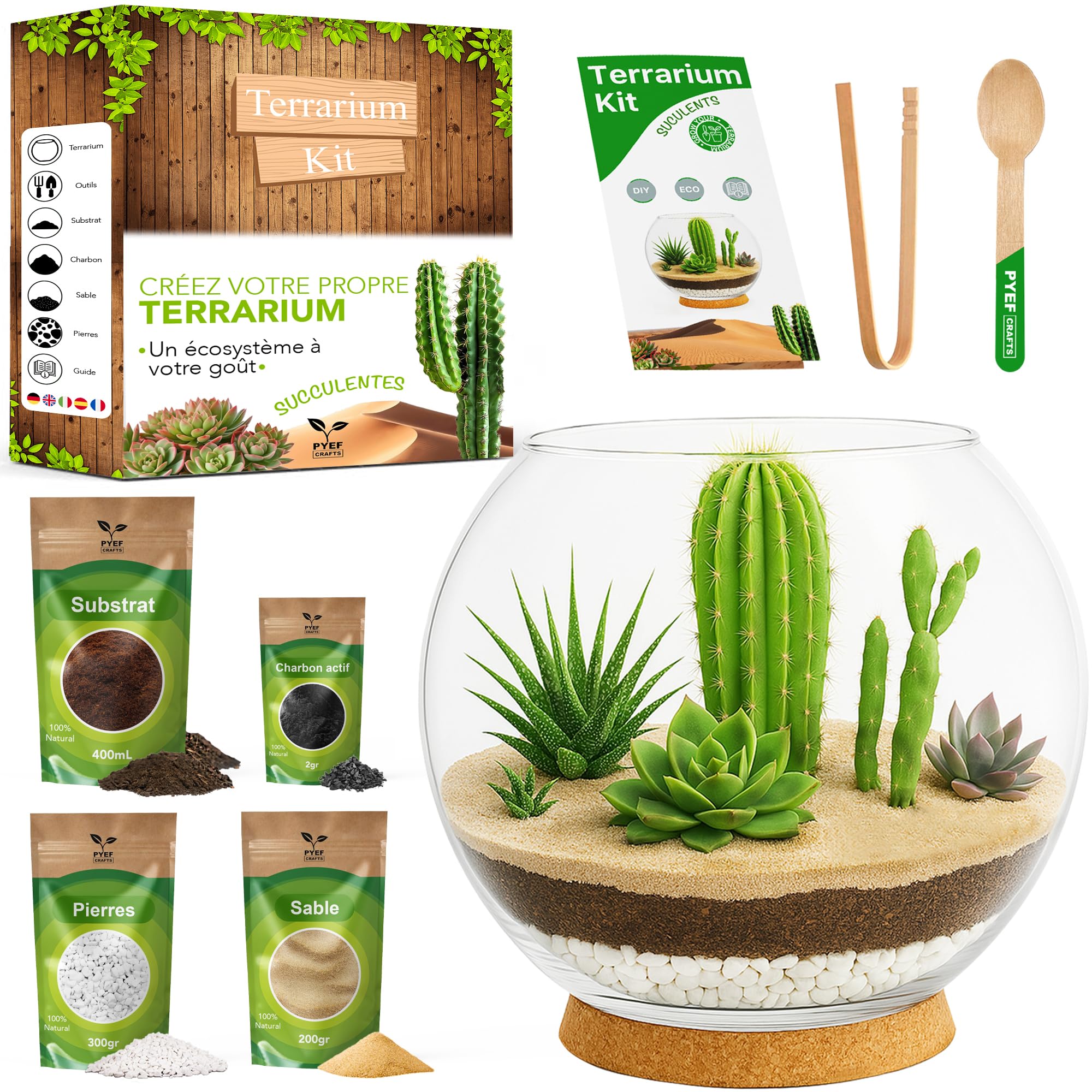 Kit terrarium plantes succulentes et cactus DIY - Ecosystème désertique en verre - Aquarium naturel pour plantes souches et cactus - Jardin éternel