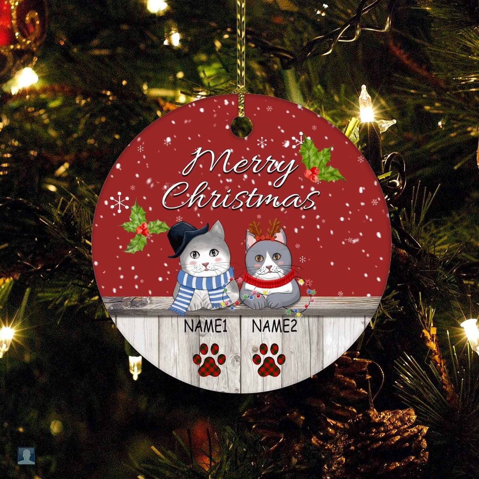 Feliz Navidad personalizado gato nombre mascota raza adorno amante de los gatos adorno de Navidad personalizado 2022 árboles de Navidad decoraciones regalos de recuerdo