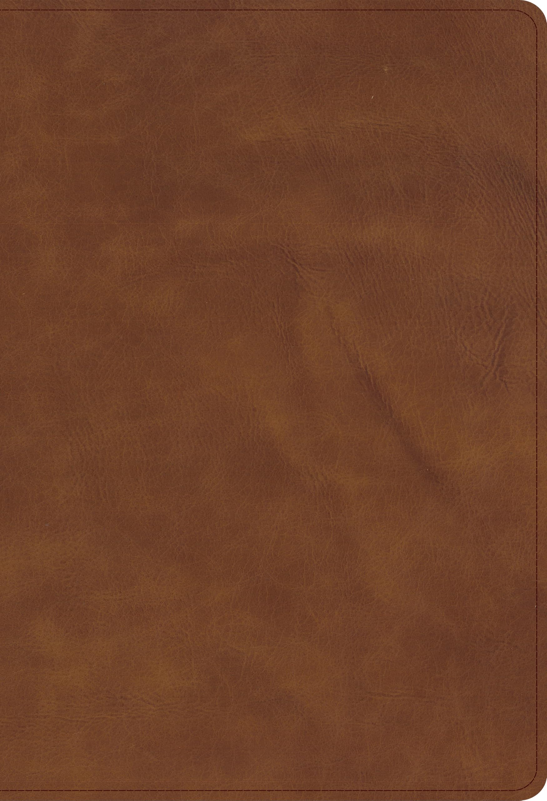 CSB Thinline Bible, Optimal Type, Holman Handcrafted Collection, Marbled Chestnut Premium Calfskin
