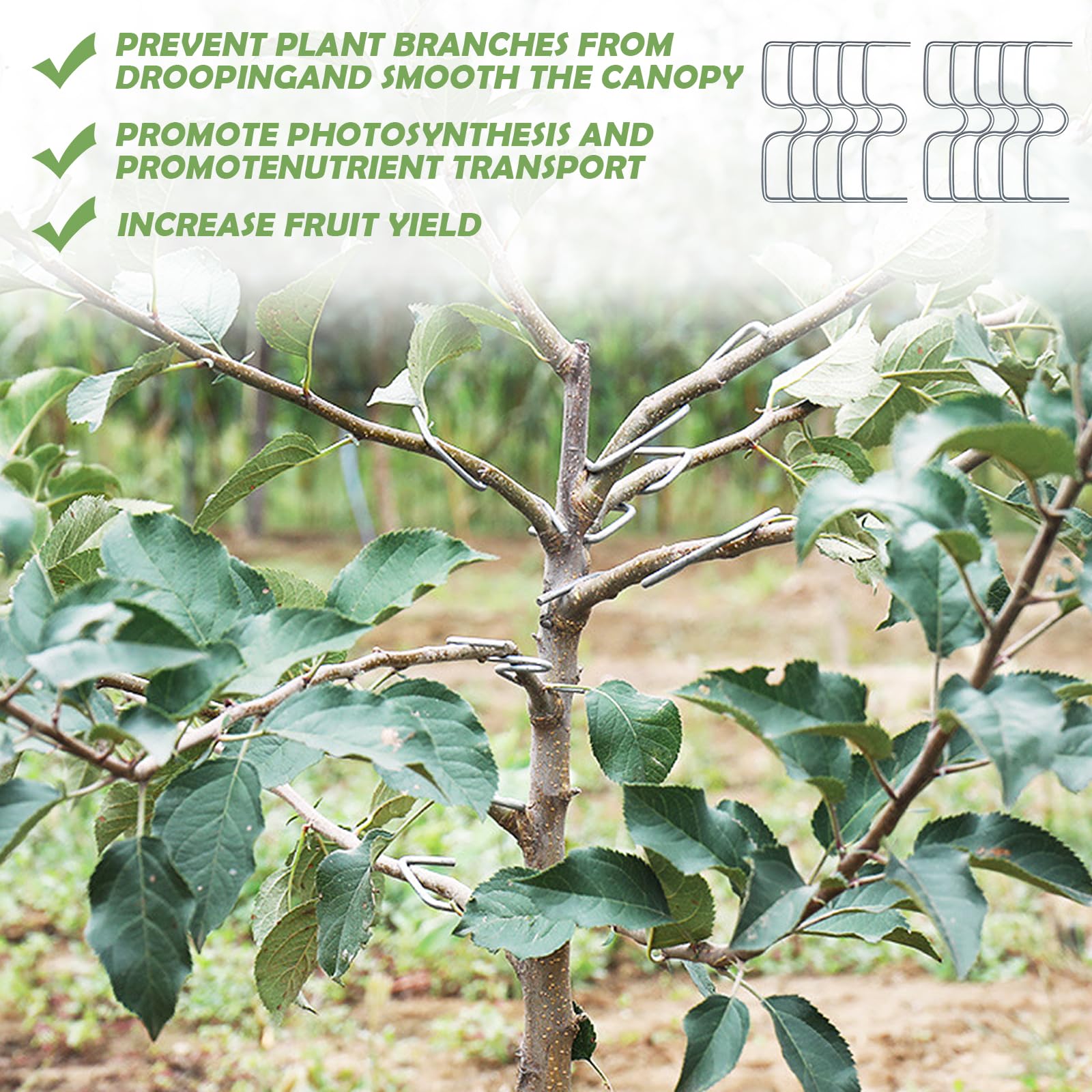 Astspreizer Set 10-teilig - Zweigbiegewerkzeug Für Obstbäume & Garten