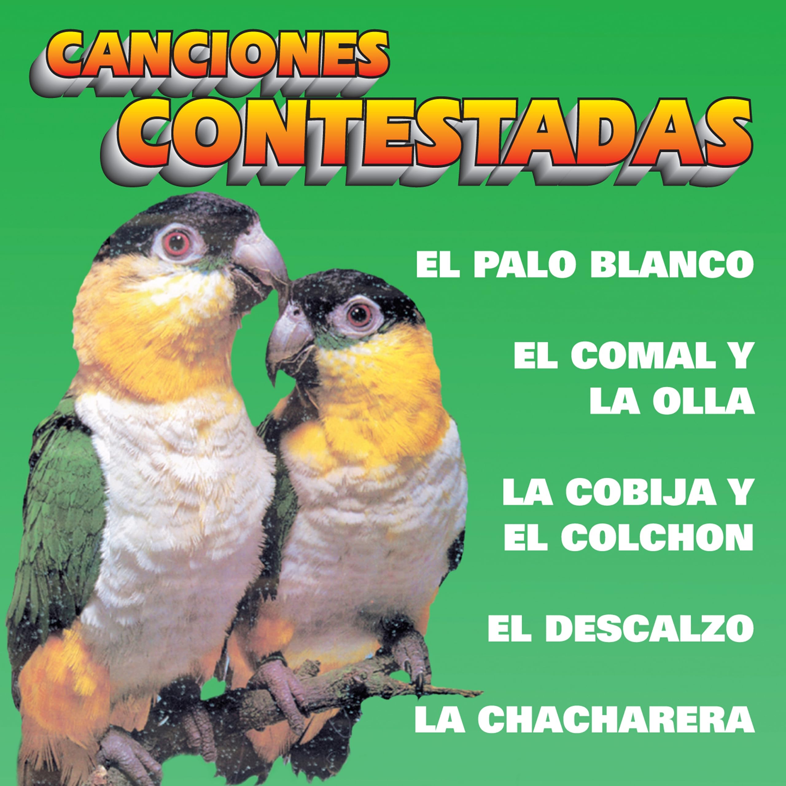 Halcones Y Palomas