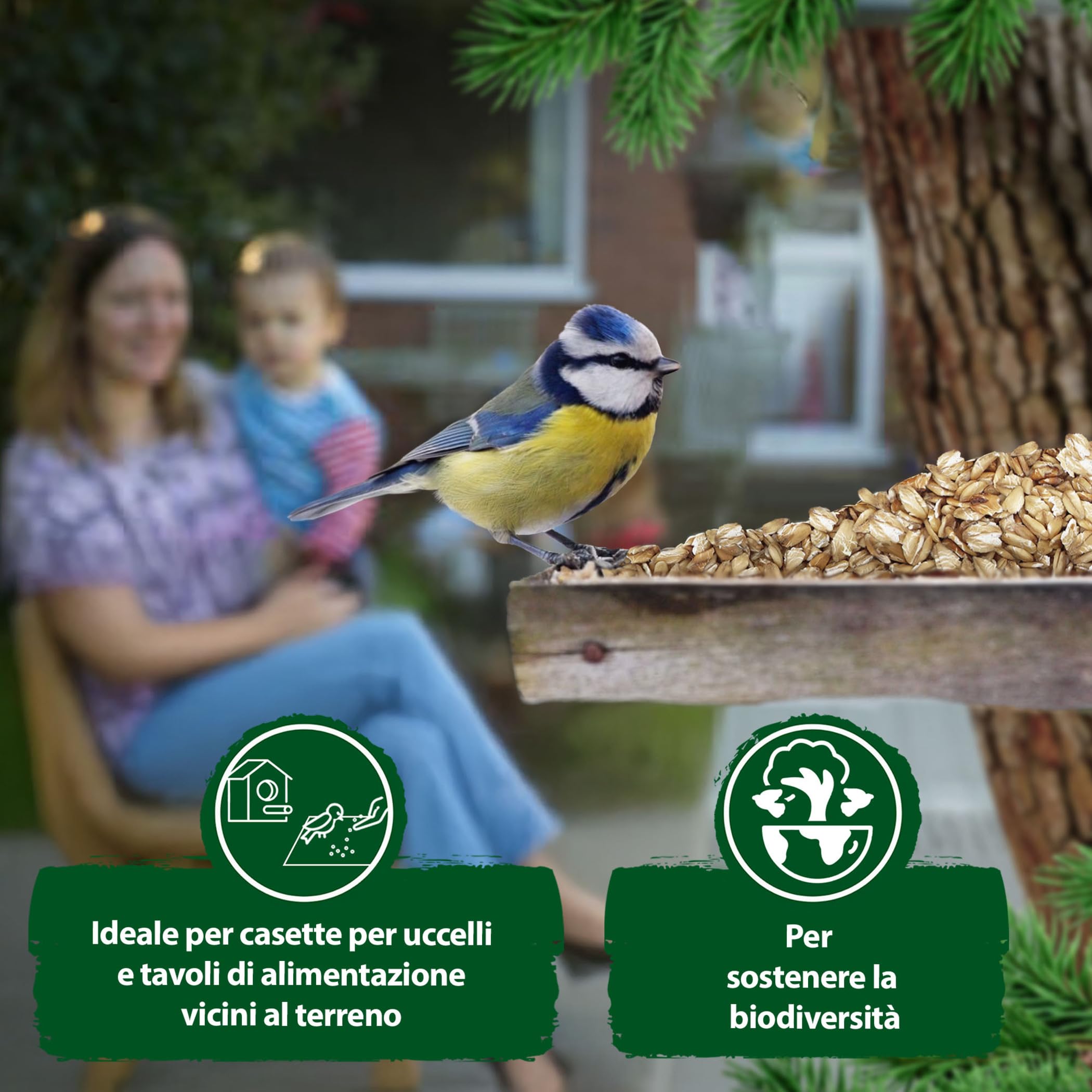 Eggersmann volaris Farina d'avena 8 x 2 kg – Mangime per uccelli selvatici – Farina d'avena ideale anche come mangime per animali per ricci, conigli e roditori – Mangime per uccelli selvatici adatto