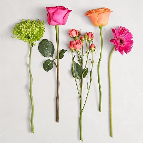 Miniatura 2 de 1800 flores  Ramo de flores vibrantes doble (florero transparente incluido)  Flores frescas para entrega  Regalo para aniversario, cumpleaños,