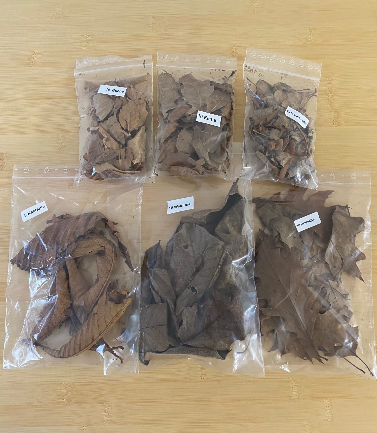Autumn Leaves Set Brown Leaves (Oak, Beech, Walnut, Red Oak, Chestnut & Apple) for Aquariums Shrimp Snails Fish Catfish