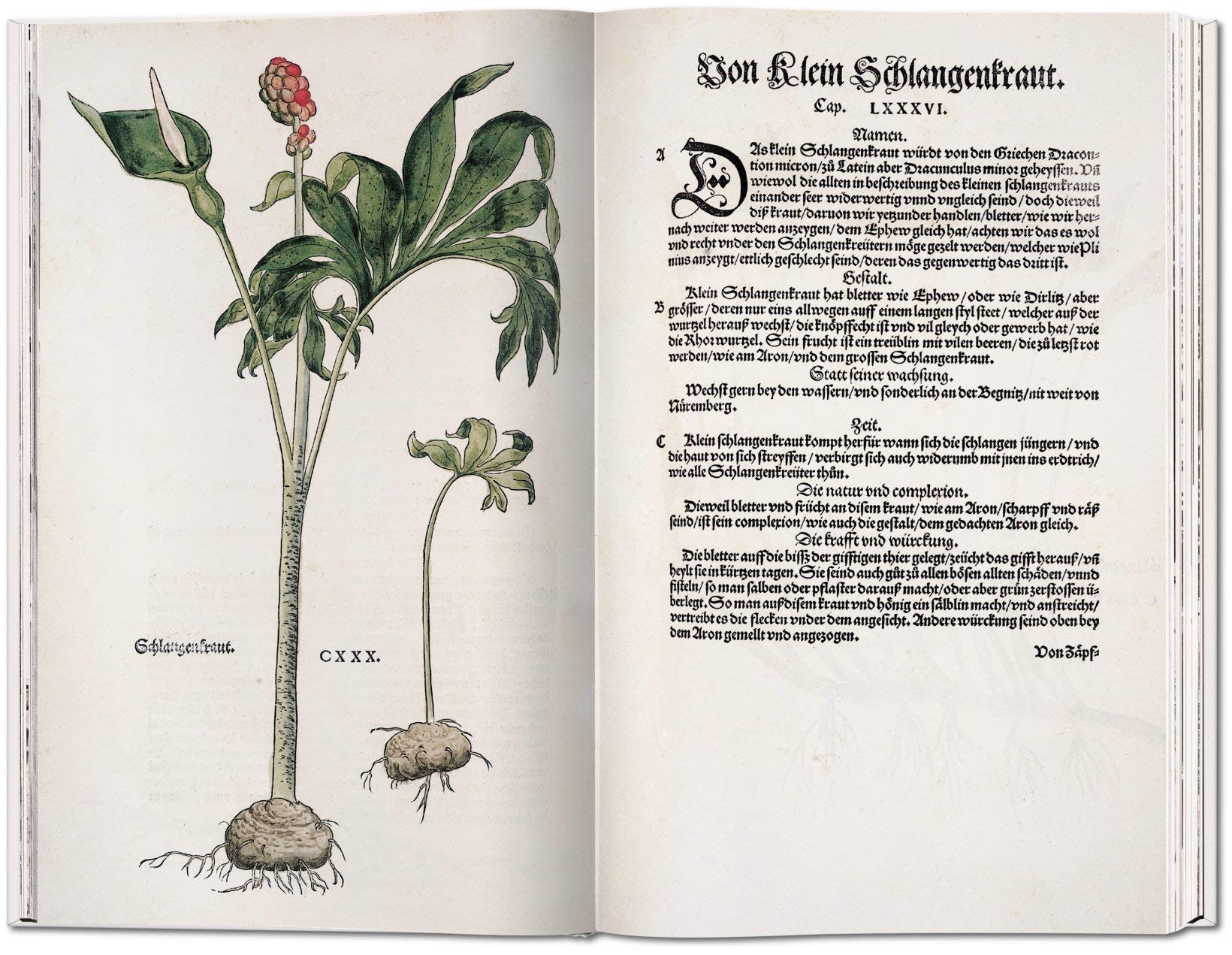 Leonhart Fuchs. Das Kräuterbuch von 1543