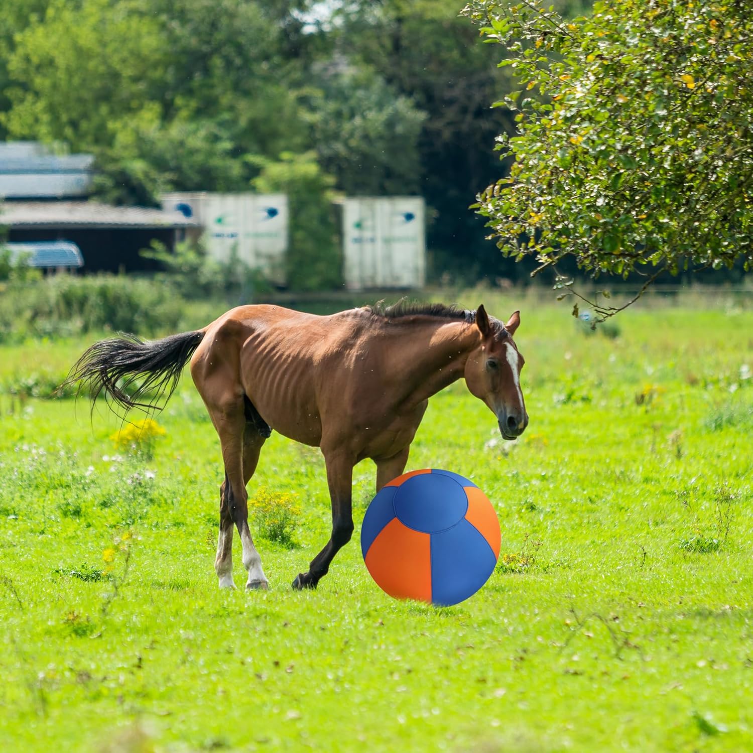 18" Herding Ball for Dogs, Dual-Layer Herding Toy with Protective Cover, Durable Giant Dog Ball for Australian Shepherd, Cattle Dog, Border Collie for Outdoor Play