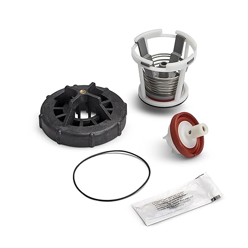 Zurn RK1-420 Wilkins Kit de reparación completo para 1" Modelo 420420XL y para disyuntor de vacío a presión de 1" (PVB)