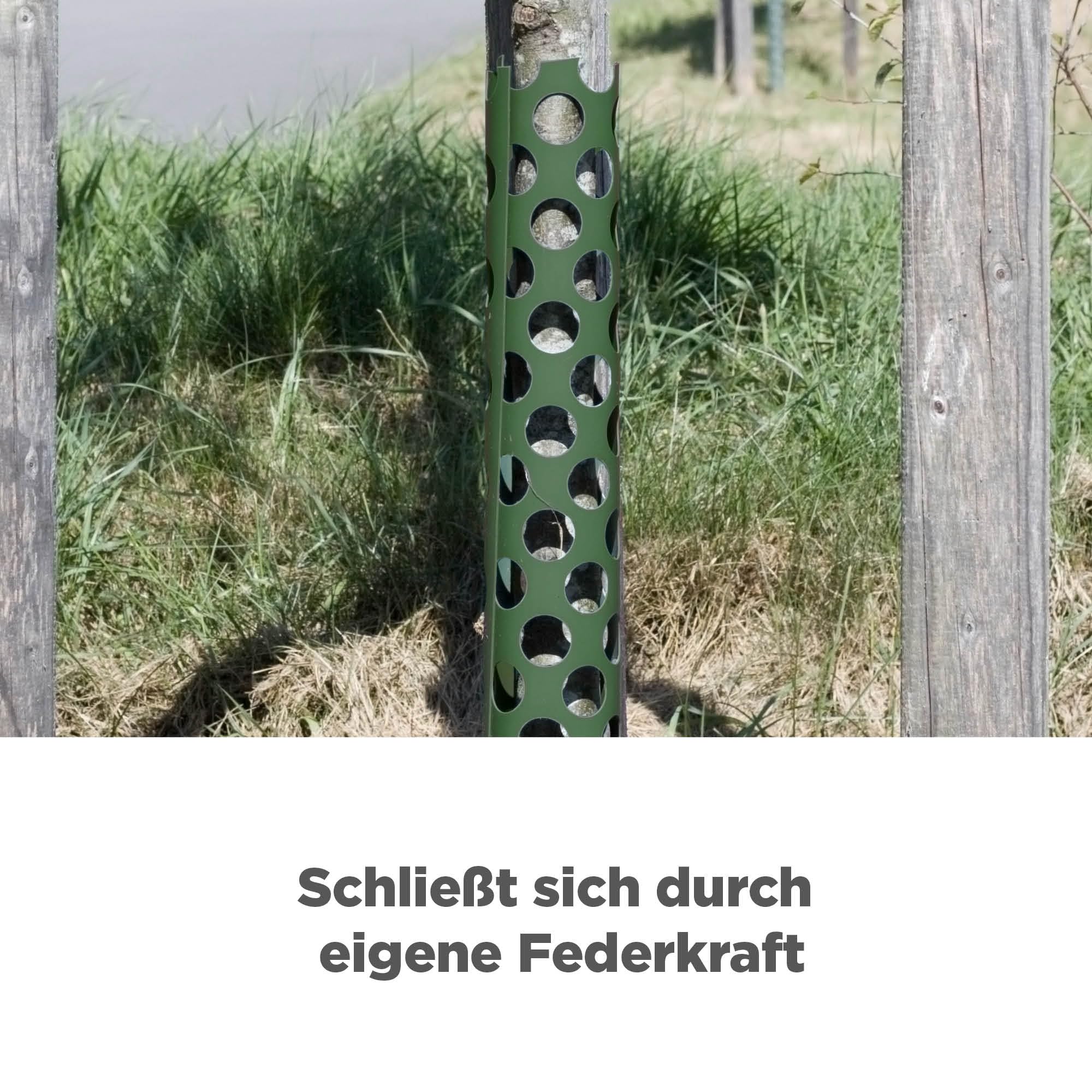 blizz-z Baumschutz Wild-Verbiss grün (Höhe 120 cm), Durchmesser: 85 mm (5 Stück) | Stamm-Schutz, Rindenschutz, Vermeidung Wildtier Fraßschäden bei Nadel- und Laubbäumen | Made in Germany