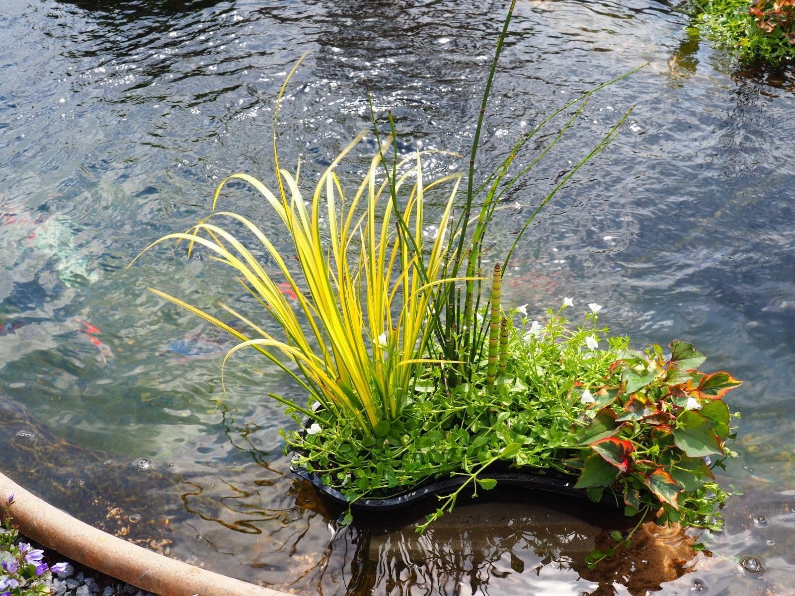 Sustrato para plantas acuáticas, saco de 15 l