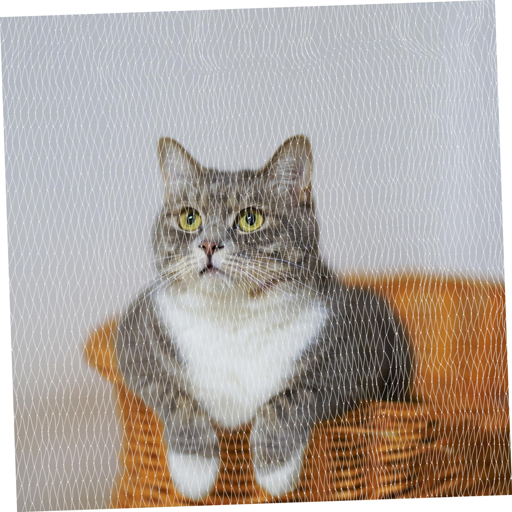 BESTonZON Drahtverstärktes Transparentes Katzennetz für Balkon aus Nylon Schutznetz zur Absturzsicherung für Katzen und Hunde ohne Bohren für Terrasse und Fenster