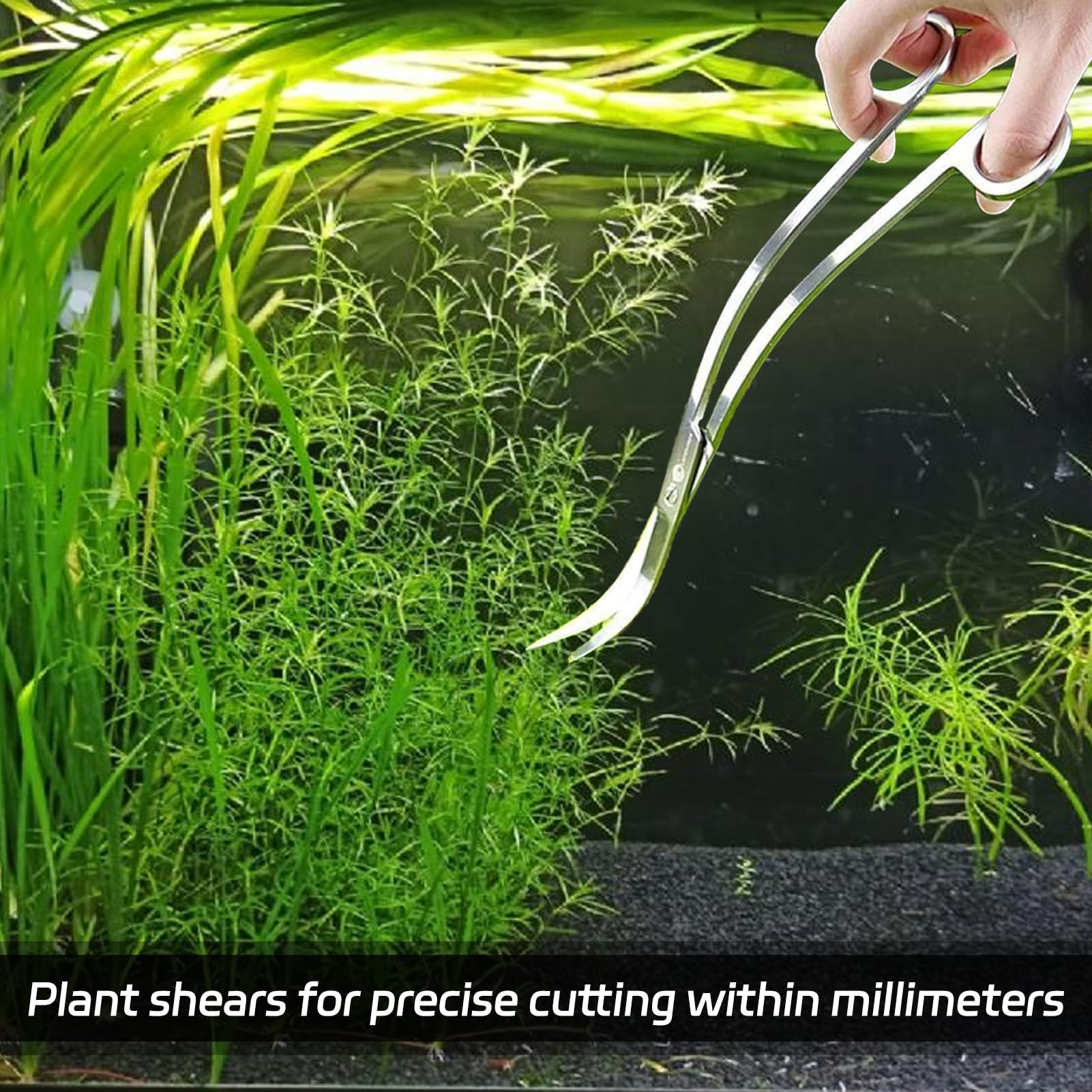 Forbici Da Acquario Curve In Acciaio Inossidabile,Forbici per Piante D'Acquario 25 Cm,Aquascaping,Strumento Acquario,Forbici Per Onde,Forbici Da Acquario Curve,Set Di Aquascaping