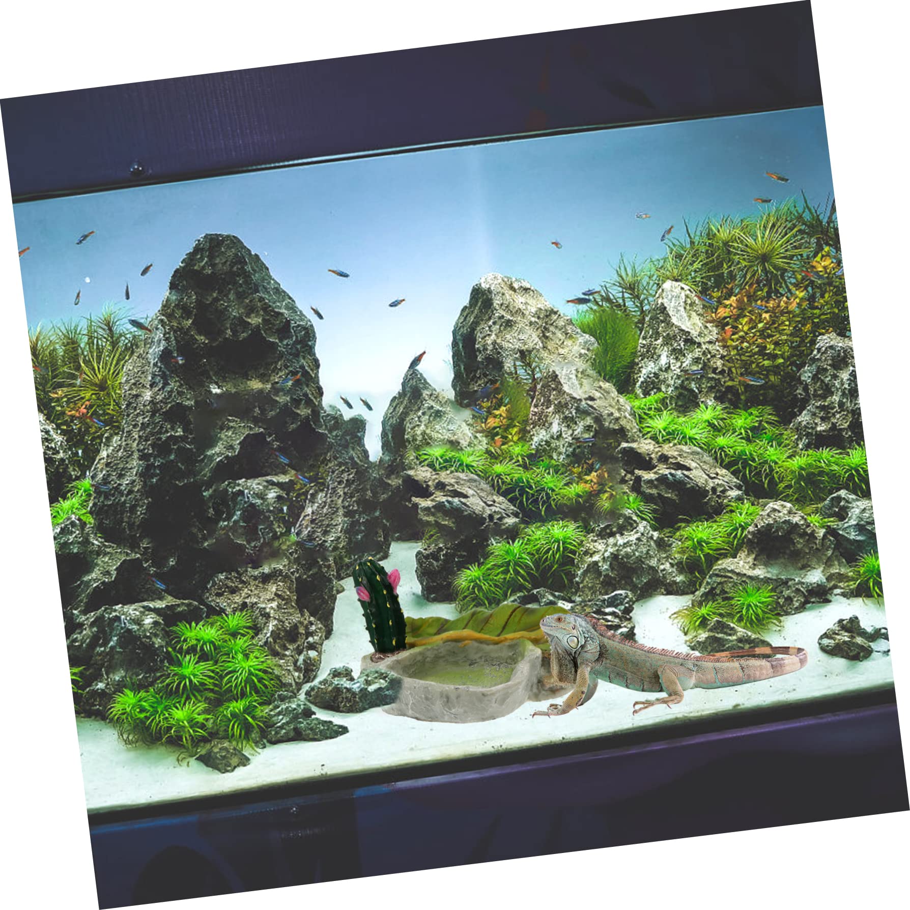 Cuenco de agua para reptiles Cuenco for alimentación de reptiles, 2 piezas, bandeja de alimentación de reptiles, cuenco de grillos, comedero for serpientes, plato de comida for tortugas, tronco de árb