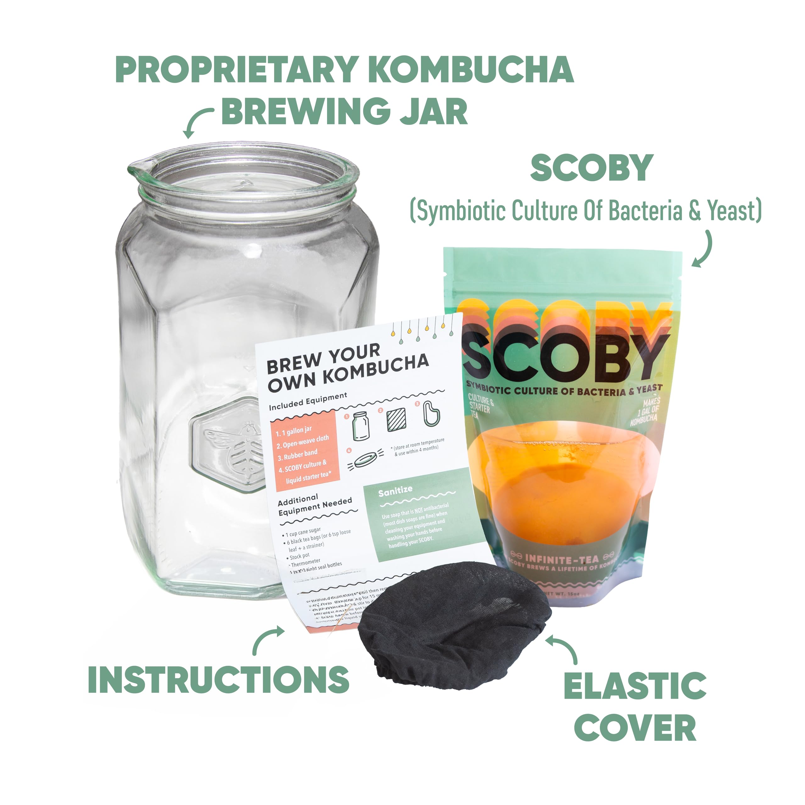 Craft A Brew Kombucha Basic zestaw startowy – do domowego warzenia – zawiera świeży kombucha SCOBY Starter, 1 galonowy słoik do fermentacji, pokrowiec na ściereczkę, przewodnik warzenia