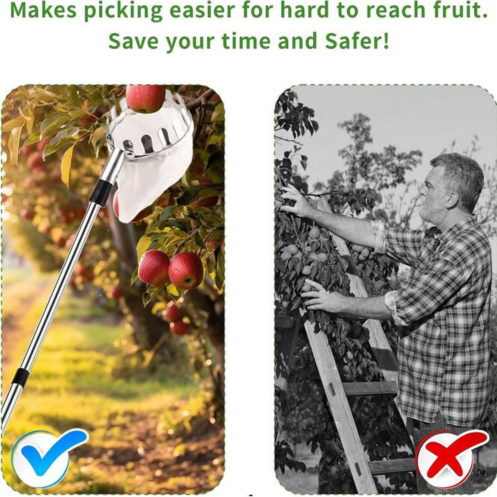 Raccoglifrutta per Alberi da Frutto Asta Telescopica con Cesto Raccoglitore