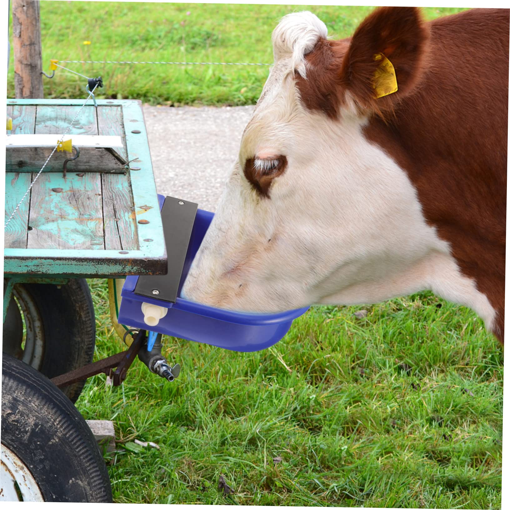 Bebedero Automático para Vacas y Ganado, Nivel Constante, Azul | Plástico, Uso en Granja, sin Deformación ni Óxido, Limpieza Sanitaria, para Ovejas y Bovinos Color Aleatorio