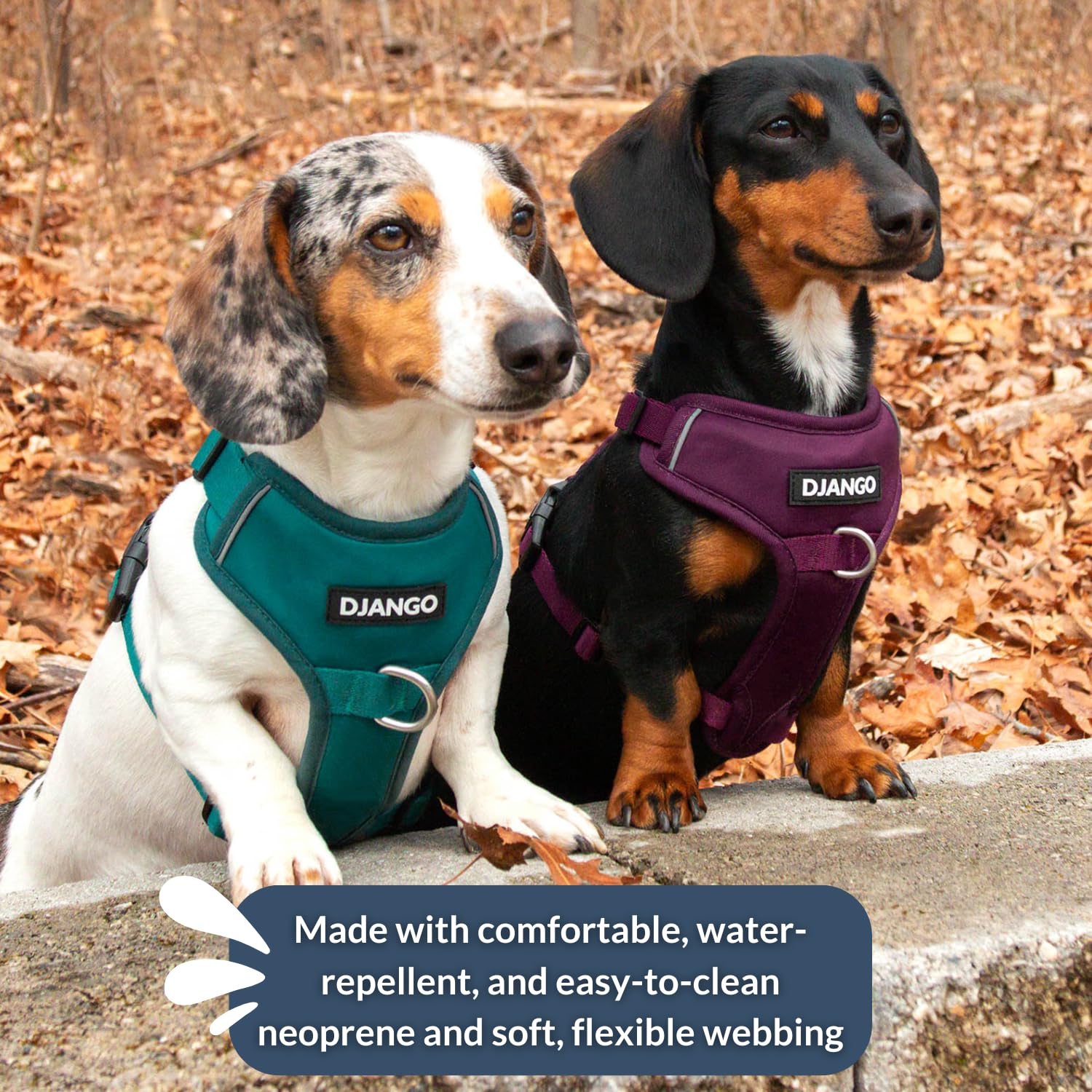 DJANGO Tahoe No Pull Hundegeschirr,Bequemes,Verstellbares und sicheres Design für den täglichen Gebrauch (Medium, Himbeerviolett)