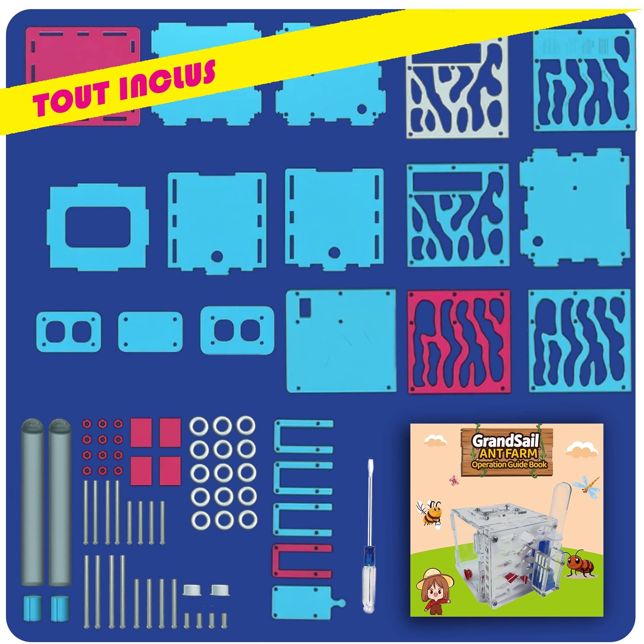 Kit de démarrage fourmilière acrylique système hydratation automatique facile installation nid fourmis peu entretien débutants